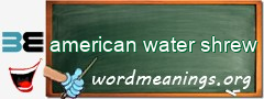 WordMeaning blackboard for american water shrew